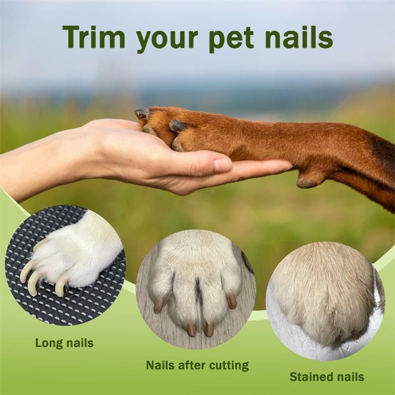 2 in 1 pet nail clippers — —  with LED light
