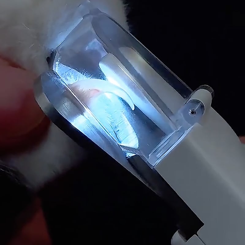 2 in 1 pet nail clippers — —  with LED light